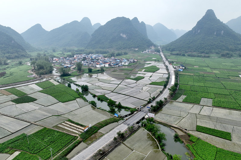 田園風(fēng)景美如畫。