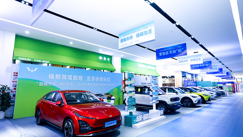 汽車展示。主辦方供圖