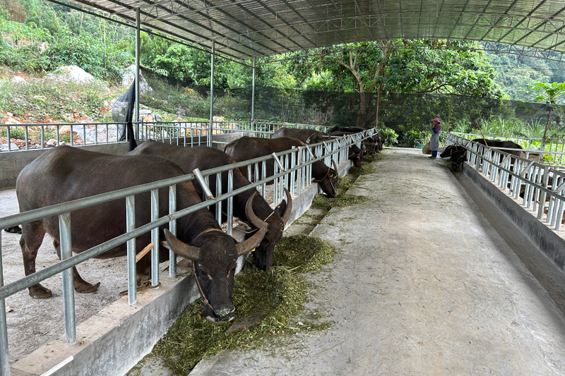 武德鄉(xiāng)三六源養(yǎng)殖合作社。