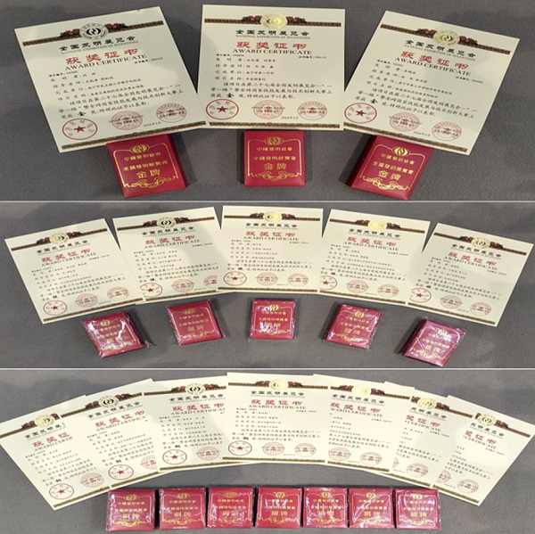 南寧市參展項目獲獎證書及獎牌。南寧市科技館供圖