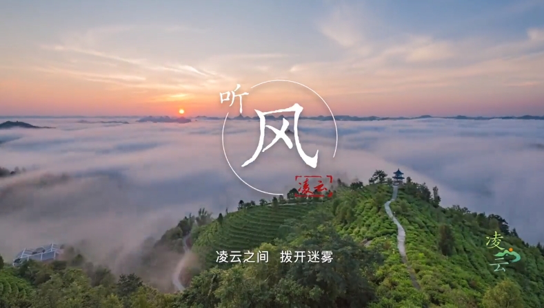 凌云：生態(tài)茶鄉(xiāng) 長(zhǎng)壽福地 