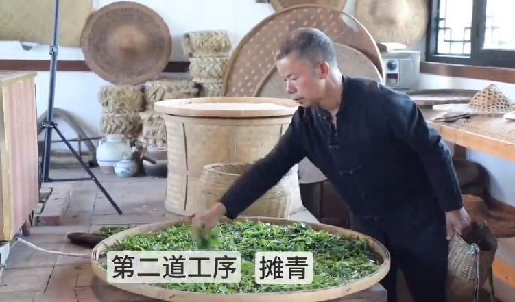 凌云白毫茶：手工制新茶 留住傳承味