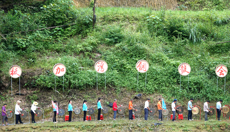 東蘭縣巴疇鄉(xiāng)板加村舉辦銅鼓會(huì)，慶祝端陽(yáng)節(jié)。