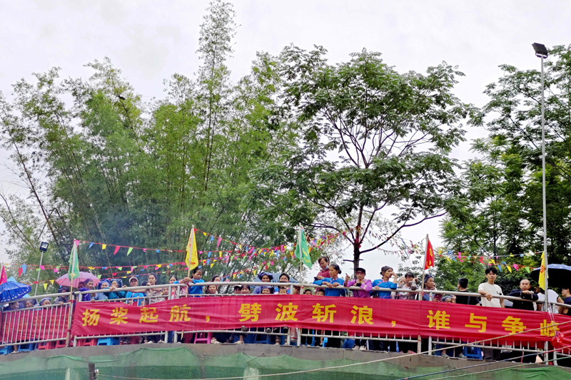 村竹排比賽觀眾人山人海。