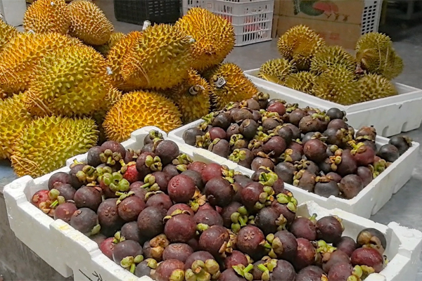 東南亞的榴蓮和山竹。陳星宇-攝.jpg