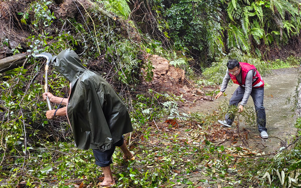 清理倒塌樹(shù)枝。潘金海攝