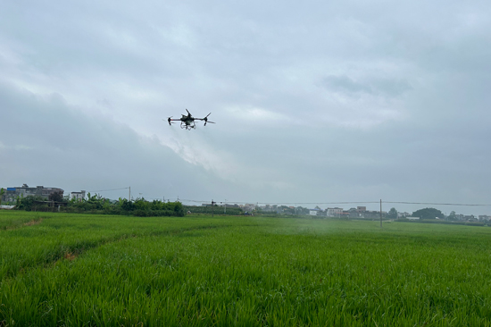 無(wú)人機(jī)正在進(jìn)行噴施作業(yè)