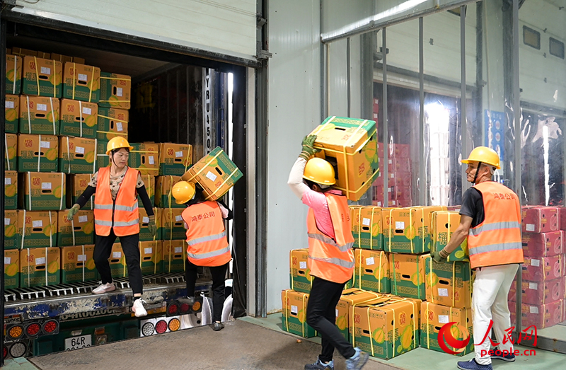 搬運(yùn)工人在搬運(yùn)水果。人民網(wǎng) 雷琦竣攝