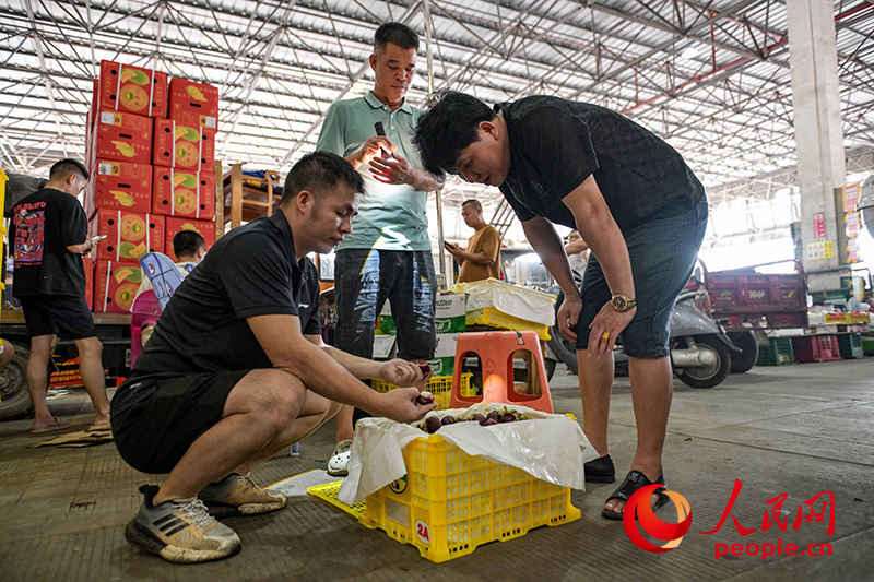 客商挑選山竹。人民網(wǎng) 雷琦竣攝