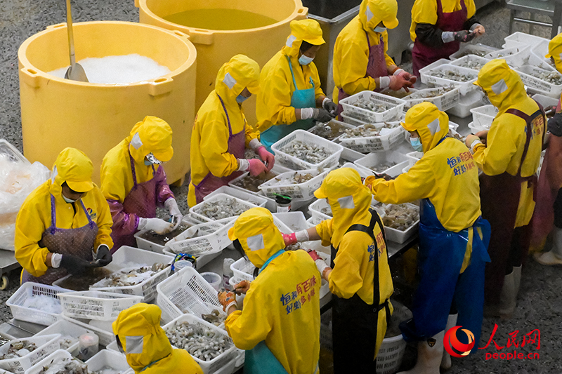 園區(qū)加工廠(chǎng)房。人民網(wǎng) 雷琦竣攝