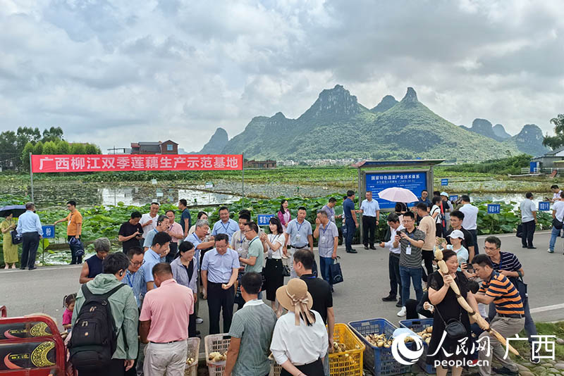 人民網(wǎng) 付華周攝