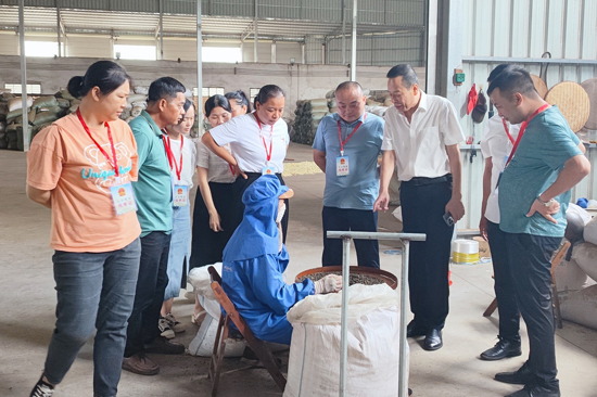 上淇片區(qū)人大代表聯(lián)絡(luò)站組織人大代表調(diào)研茉莉花產(chǎn)業(yè)發(fā)展情況