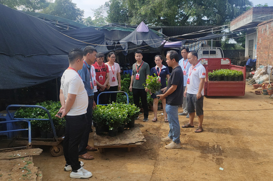 北村片區(qū)人大代表聯(lián)絡(luò)站組織人大代表調(diào)研茉莉花盆栽電商產(chǎn)業(yè)發(fā)展情況