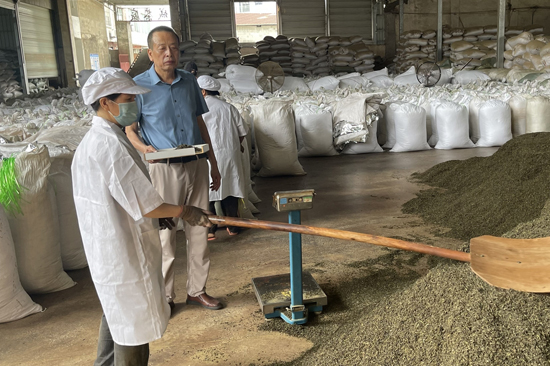 橫州市人大代表蔡同聲指導(dǎo)工人進(jìn)行花茶加工