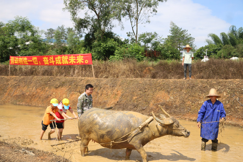 在貢模屯體驗研學(xué)。覃彩媚攝