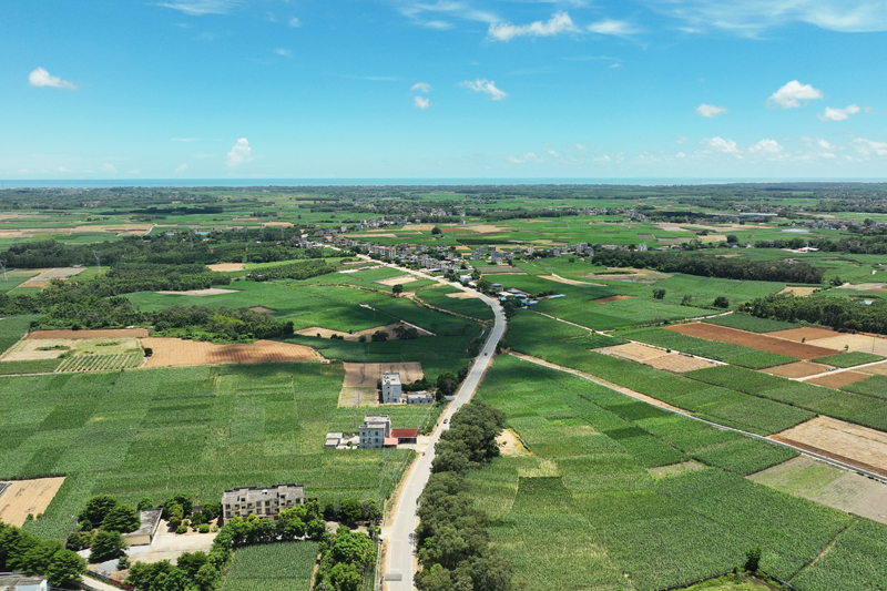 省道207線南康鎮(zhèn)段。葉其林?jǐn)z