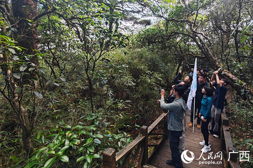 報(bào)道團(tuán)探訪漓江源。人民網(wǎng)記者 嚴(yán)立政攝