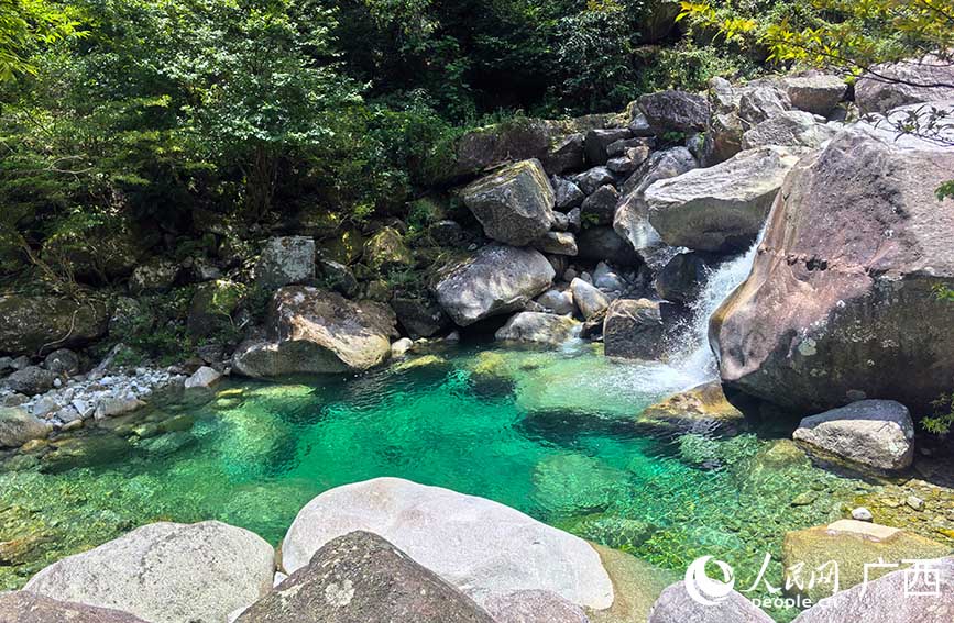 貓兒山漓江源大峽谷隨處可見的“果凍水”。人民網(wǎng) 付華周攝