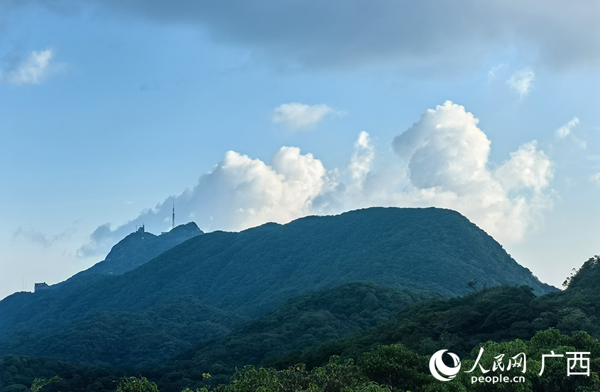 貓兒山遠(yuǎn)看猶如一只“臥貓”。人民網(wǎng) 付華周攝