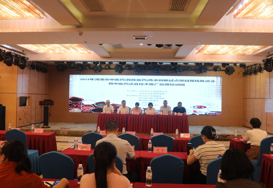 會議現(xiàn)場。黃皓攝