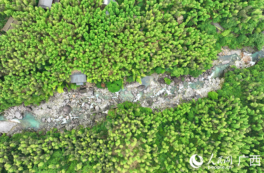 貓兒山漓江源大峽谷。人民網(wǎng) 付華周攝