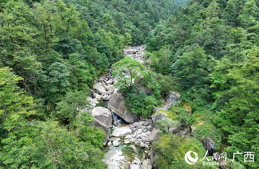 幽靜的漓江源大峽谷。人民網(wǎng) 付華周攝