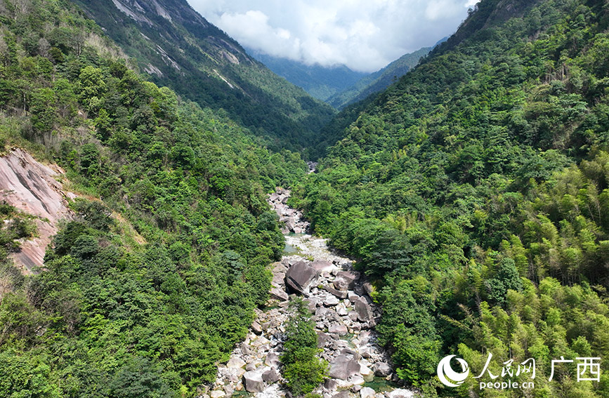 峽谷秘境。人民網(wǎng) 付華周攝