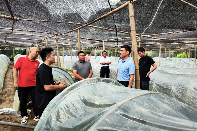 工作隊(duì)在廣西壽菌園新技術(shù)開發(fā)有限公司生產(chǎn)一線調(diào)研。