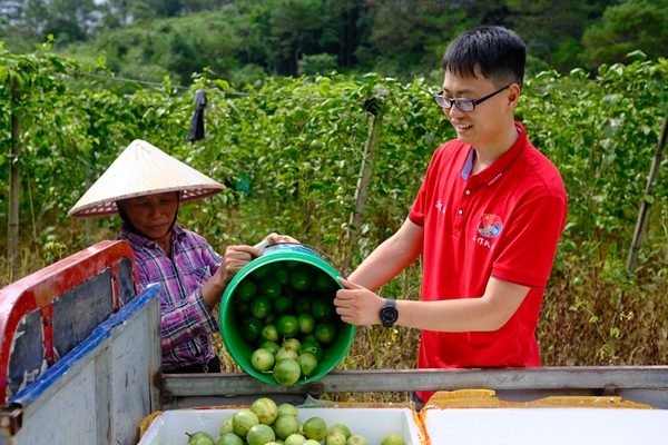 防城港市公安局駐村工作隊(duì)員在百香果采收期幫助果農(nóng)采收百香果