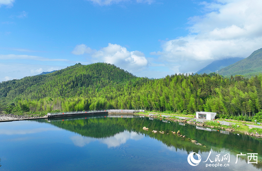 漓江源大峽谷連綿的竹海美麗如畫。人民網(wǎng) 付華周攝