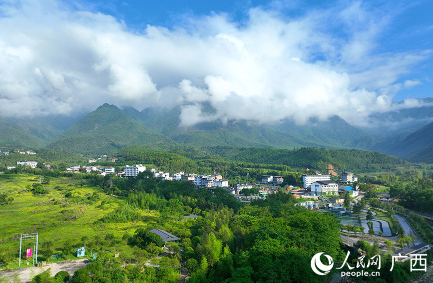 環(huán)境優(yōu)美的高寨村。人民網 付華周攝