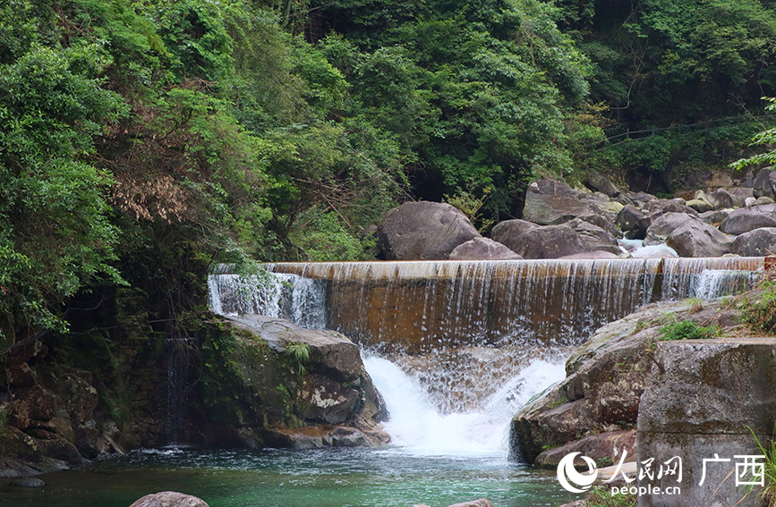漓江源大峽谷干凈清澈的溪流。人民網 付華周攝