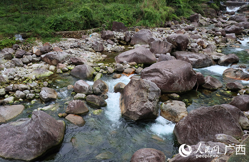 漓江源大峽谷干凈清澈的溪流。人民網 付華周攝