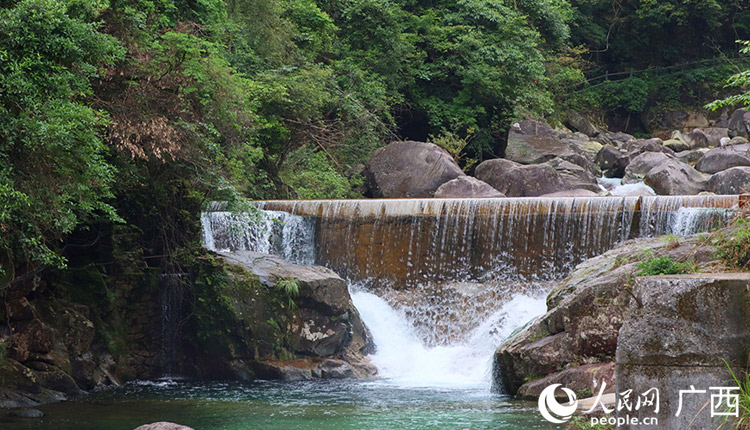 漓江源大峽谷:清澈"果凍水"養(yǎng)出鮮美"瘦身魚"
