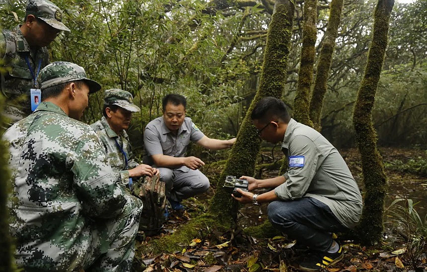 貓兒山保護(hù)區(qū)工作人員在野外安裝紅外相機(jī)。胡桂芳攝