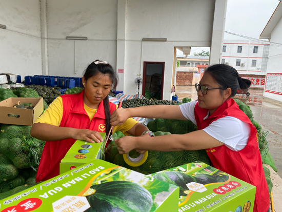 公司派駐上李村工作隊員打包村集體自主生產(chǎn)的寶栗南瓜。國海證券供圖