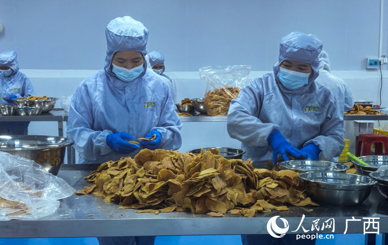 工人對芒果干進行加工。人民網(wǎng) 何寧攝