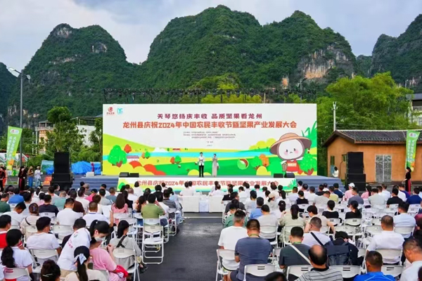 龍州縣堅(jiān)果產(chǎn)業(yè)發(fā)展大會在上龍鄉(xiāng)天琴壯寨召開。