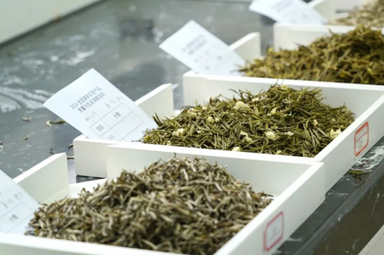 眾多茉莉花茶產(chǎn)品琳瑯滿目。