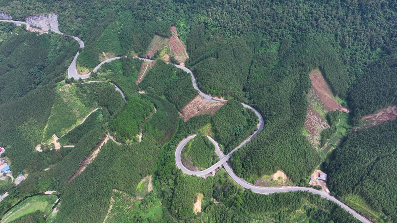 金城江九圩賽段。