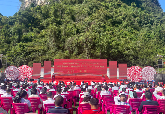 活動(dòng)現(xiàn)場。