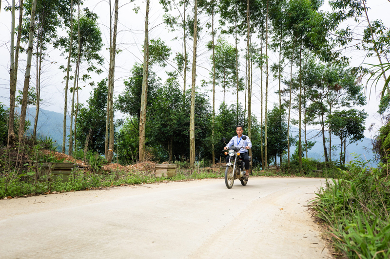 陳旭祥駕車駛過蜂箱密布的新道路。