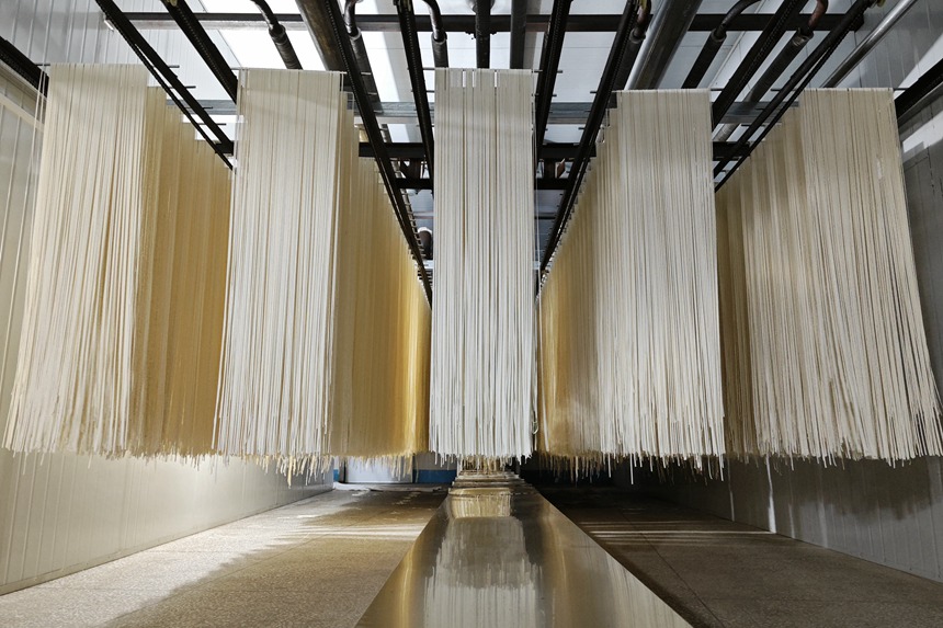 東陽(yáng)村黃關(guān)面條加工廠掛面生產(chǎn)車間。廠家供圖