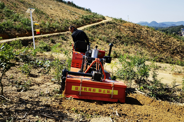 工人在金槐基地操作新型機械進行松土作業(yè)。