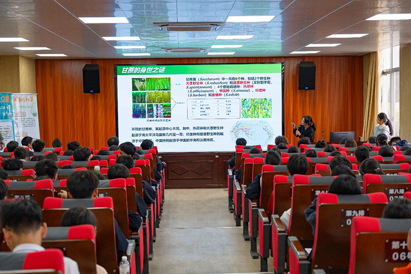 甘蔗科普宣講。溫畹月攝