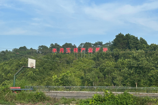 擔(dān)責(zé)上肩 勇毅篤行 繪就鄉(xiāng)村振興新畫卷