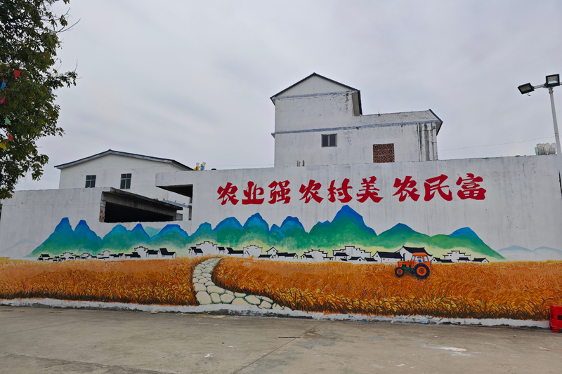 祥周鎮(zhèn)百銀村泓西屯“和美鄉(xiāng)村”主題墻繪。韋存諾攝