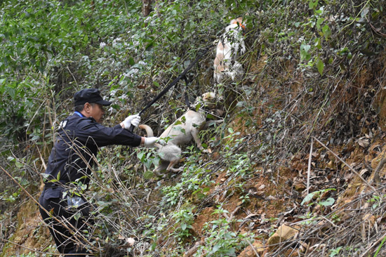 比賽現(xiàn)場。百色市公安局供圖
