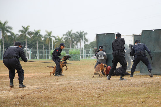 比賽現(xiàn)場。百色市公安局供圖