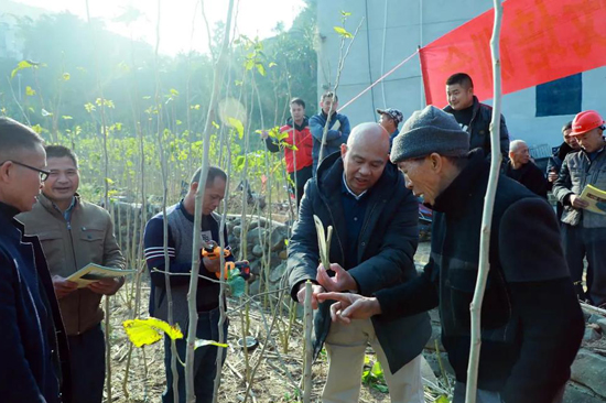 技術(shù)人員向農(nóng)戶傳授桑園管護(hù)知識(shí)。